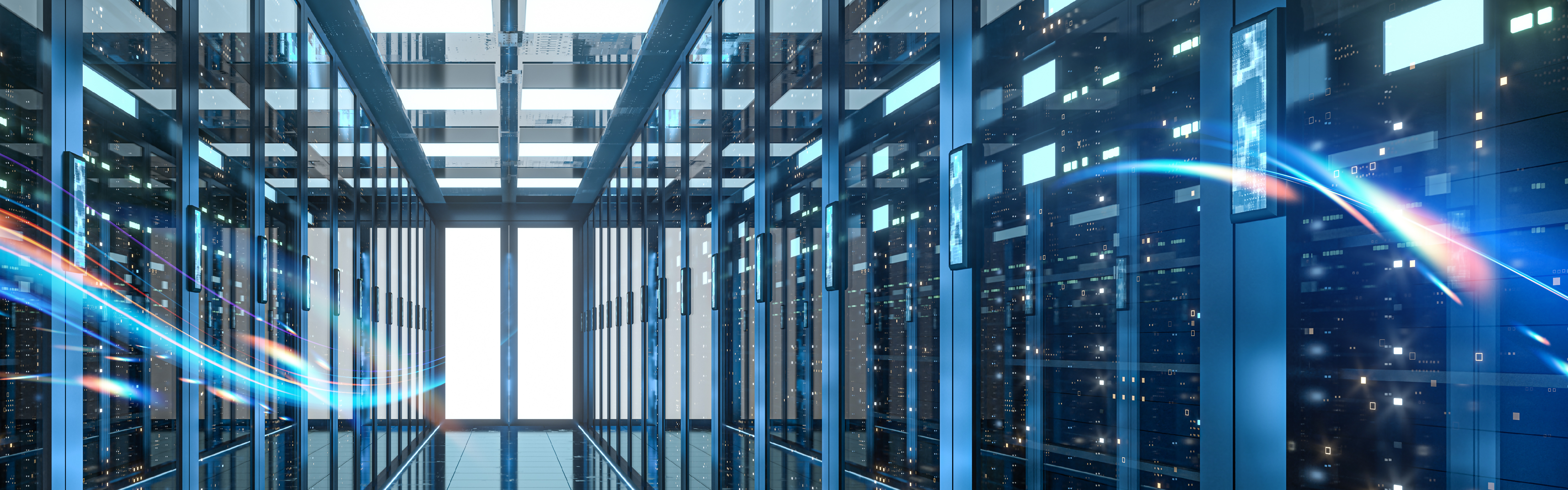 定制化软件工程服务